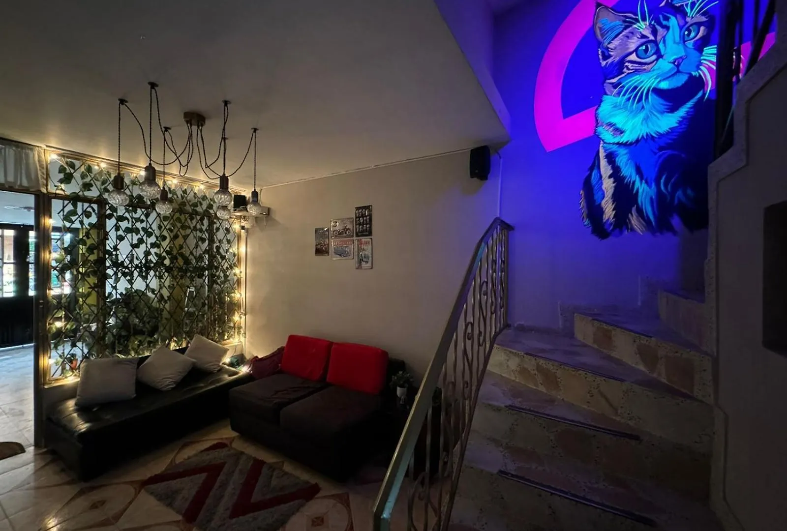 Gato Neon Hostel Bogota Colombia