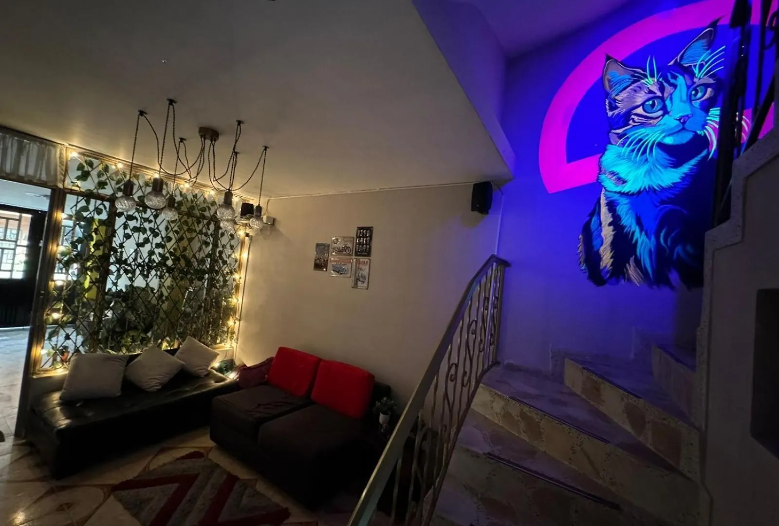 Gato Neon Hostel Bogota Gasthuis