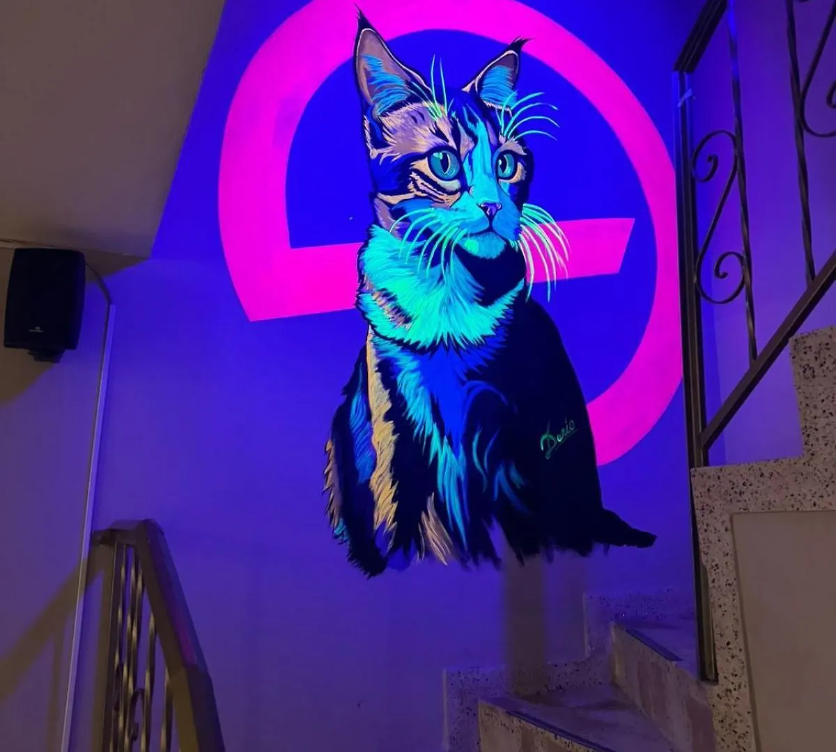 Gato Neon Hostel Bogotá Pensionat